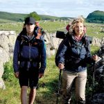 Quand Compostelle devient le chemin des absurdités : un road movie qui dénonce les dérives des villes RN !