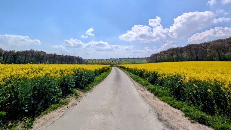 Météo en Belgique : un matin ensoleillé, mais des orages en vue dans le centre !