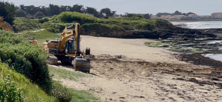 Le cachalot évacué : un symbole de l&rsquo;indifférence systémique