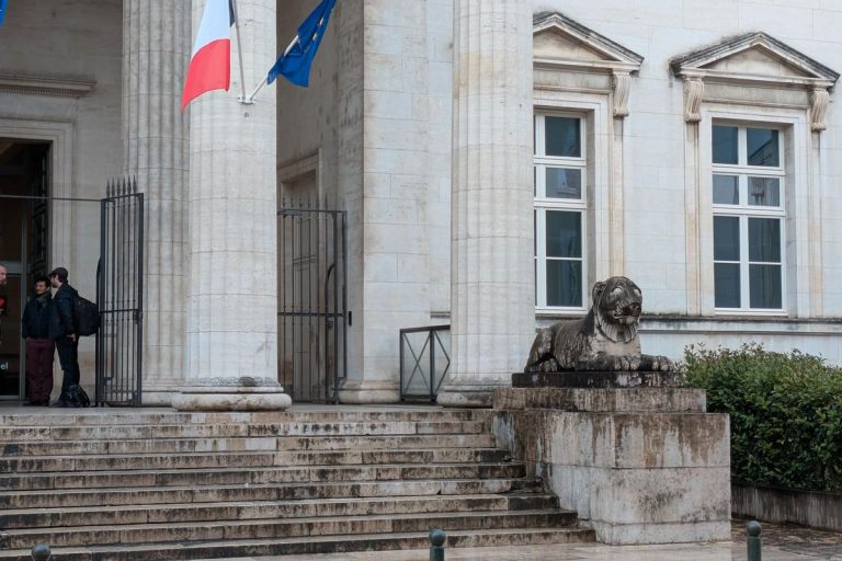 Quand la justice se prend les pieds dans le tapis : le cas de Mohammad Javad Saeli