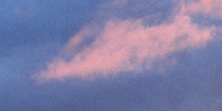 La Reconnaissance Faciale : Un Contrôle de Police Illégal et Inacceptable