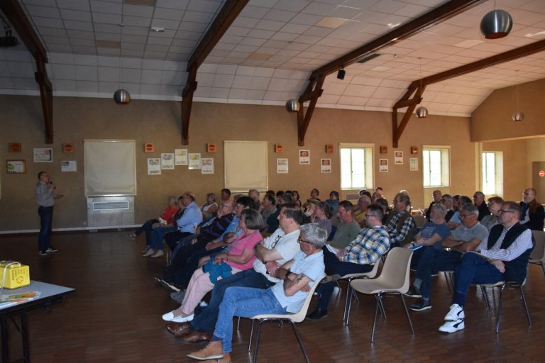 Frelon asiatique : un fléau pour la biodiversité