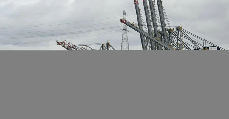 Anvers rouvre son port après une marée noire : les dirigeants conservateurs face à l'absurde !