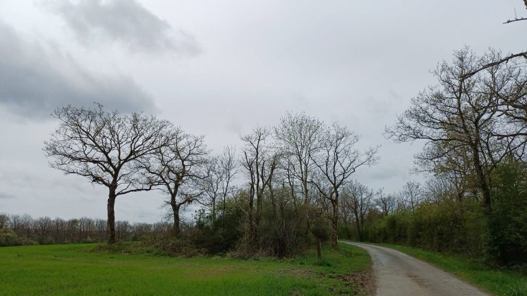 La météo : un reflet troublant de nos dérives sociopolitiques
