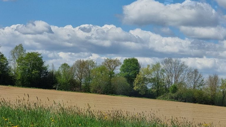 Météo en Belgique : un mercredi ensoleillé, mais pour combien de temps ?