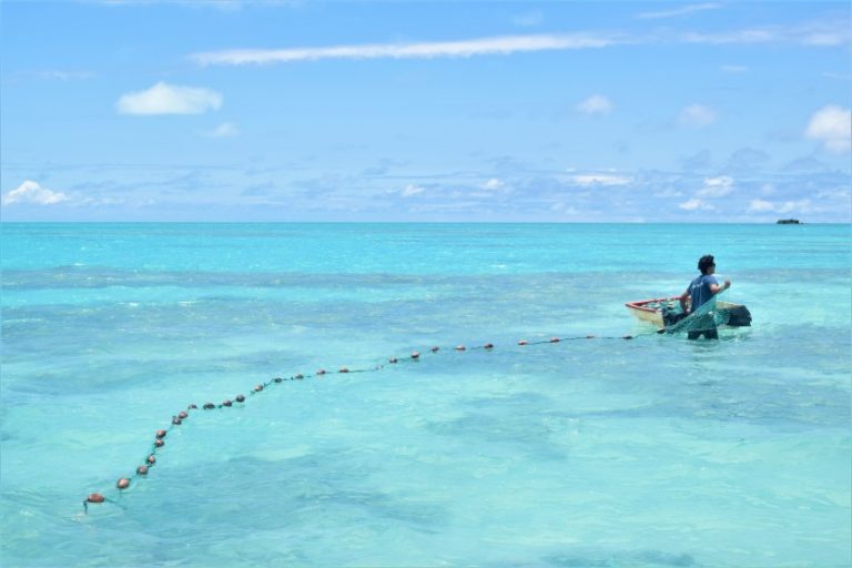 Microplastiques : Quand la mer devient une poubelle à poissons