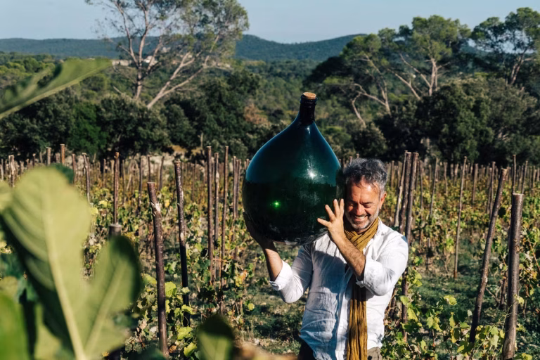 À la Découverte du Domaine Colline des Louves : Un Voyage Sensoriel Inoubliable