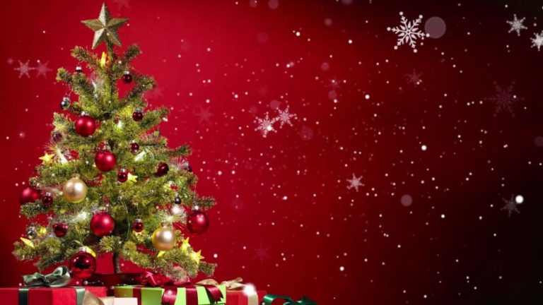 La fermeture annuelle : un paradoxe de l’accessibilité