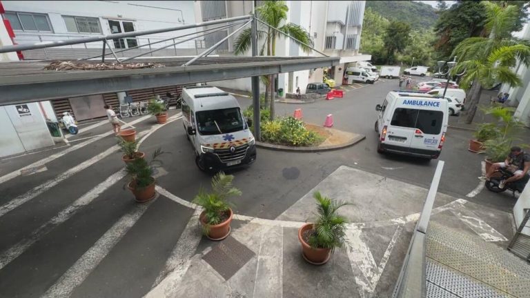 Chikungunya : six décès signalés à La Réunion depuis janvier 2023