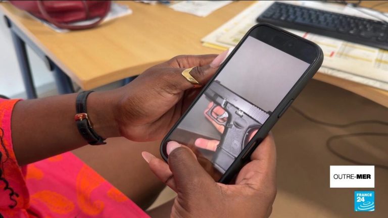 Armes à feu en Guadeloupe : un constat alarmant sur l&rsquo;insécurité grandissante