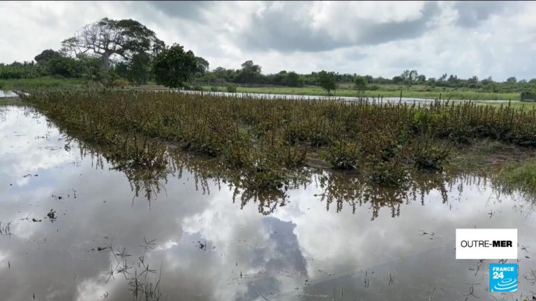 Tempête Jerry : Quand la Nature Révèle les Failles d’un Système en Déroute