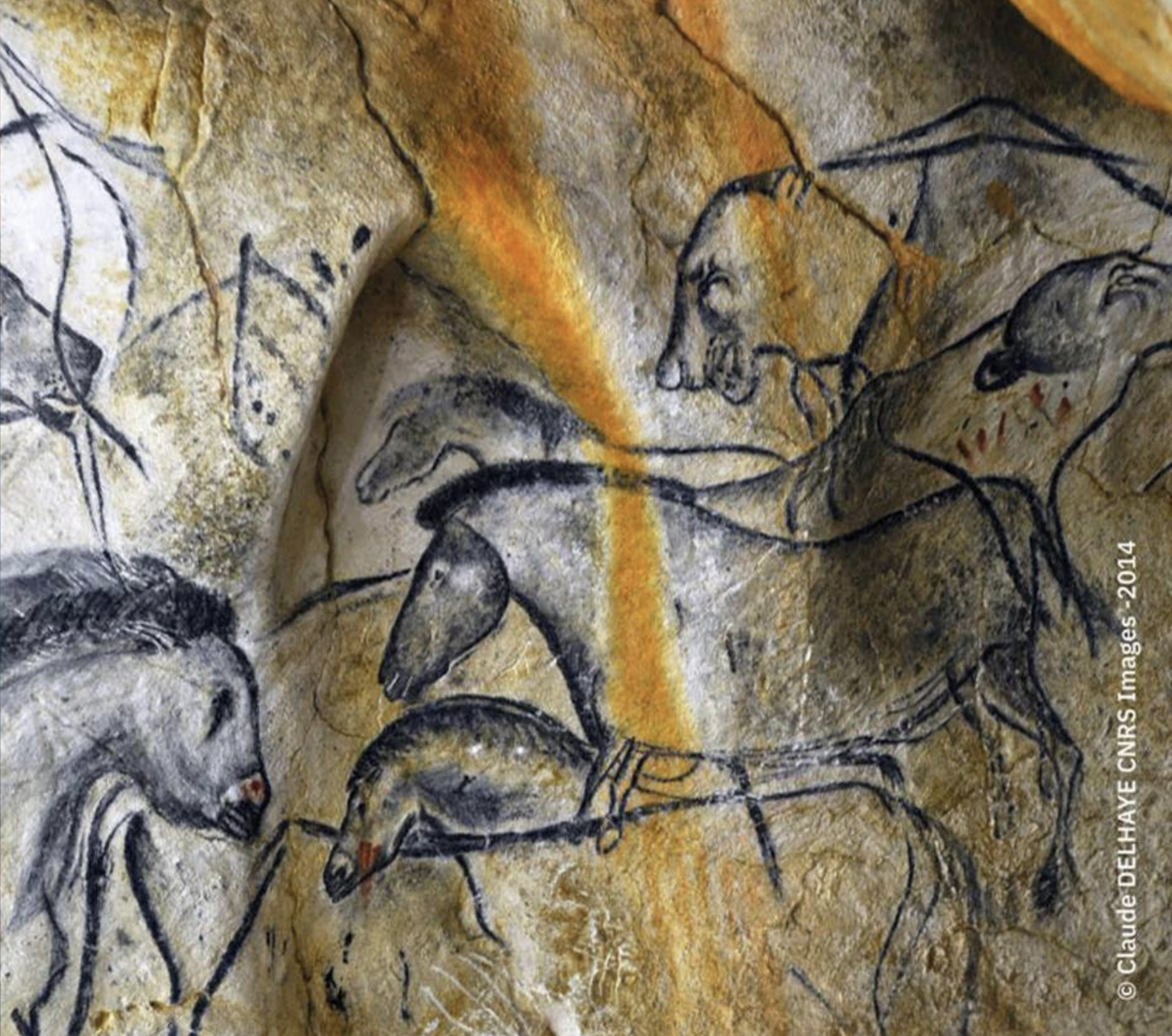 Le Café & Vidéo du CNRS fête ses 30 ans avec une séance spéciale à Montpellier