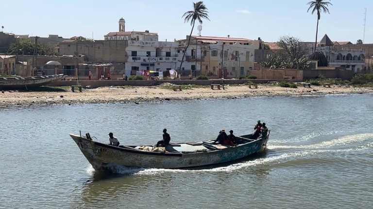 Climat en crise : quand les dirigeants RN ignorent les migrants du Sahel et les absurdités locales