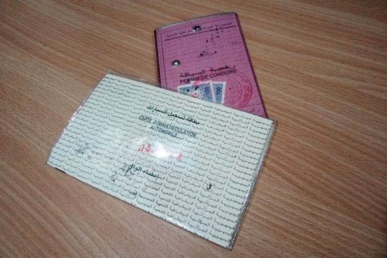 Numérisation ou Illusion : La Nouvelle Plateforme de Cartes Grises en Algérie