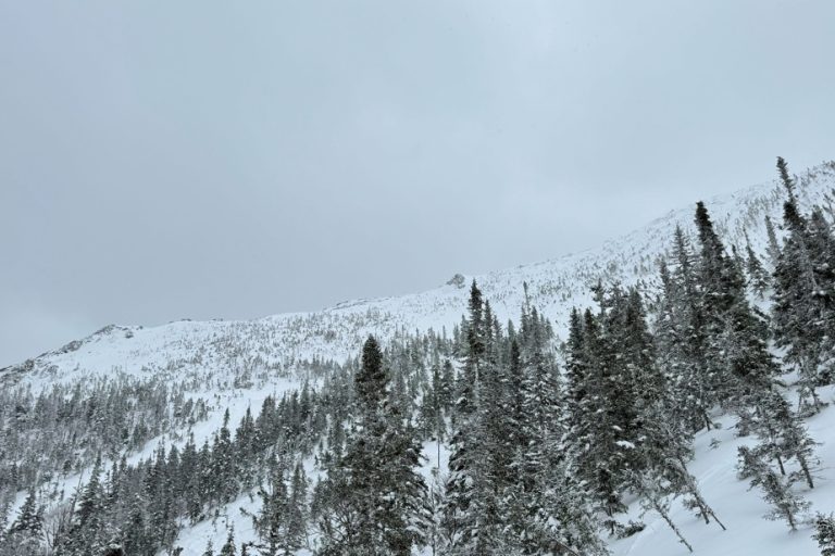 Avalanche dans les Chic-Chocs : un sauvetage héroïque ou une tragédie annoncée ?