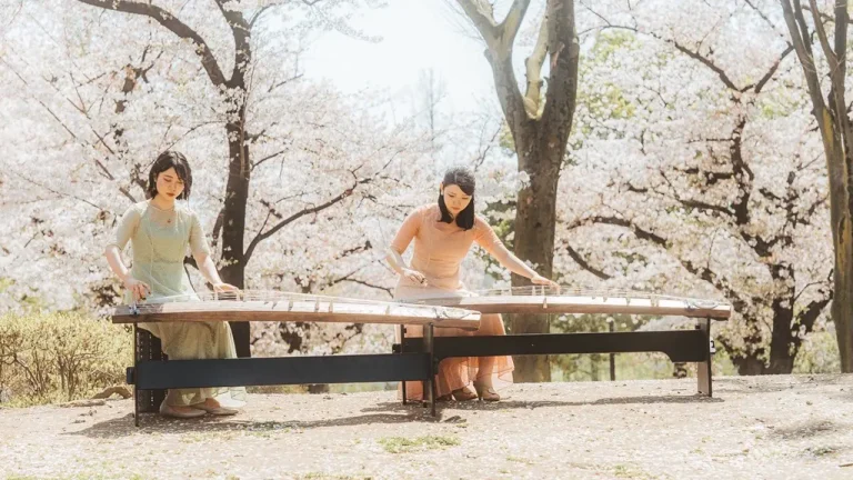 Voyage au Japon au Château de Biron pour faire résonner le koto au cœur du Périgord le 31 mars