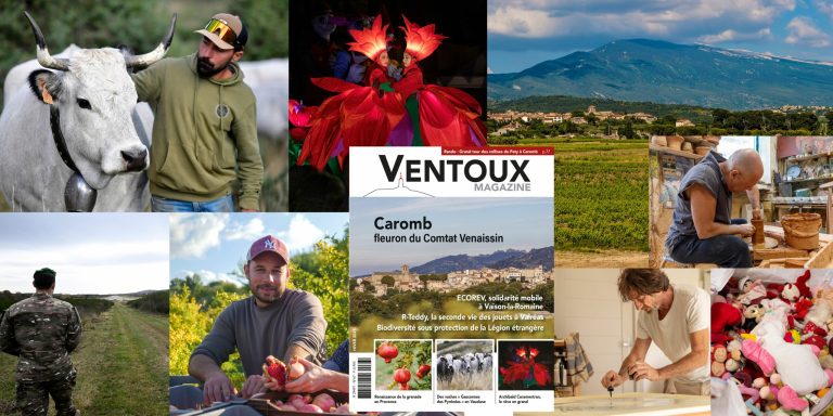 Découvrez les enjeux et tendances du Ventoux Magazine hiver n°67 : ce qu&rsquo;il faut savoir
