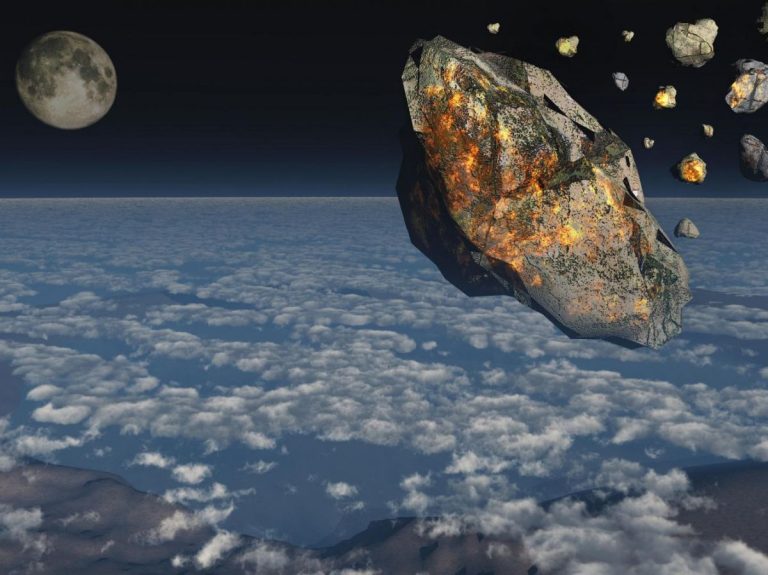 « Conan la bactérie » : La résistance qui fait rougir les politiques autoritaires