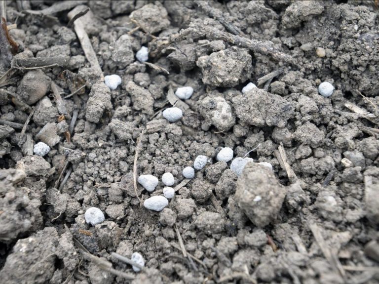 Cadmium : Pourquoi la dépollution des sols agricoles reste un défi pour l&rsquo;avenir