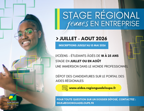 Stage régional en Guadeloupe : des jeunes intègrent des entreprises locales pour acquérir de l&rsquo;expérience.
