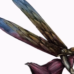 En Allemagne et en Autriche, des handicapés stérilisés contre leur gré : un héritage conservateur choquant !