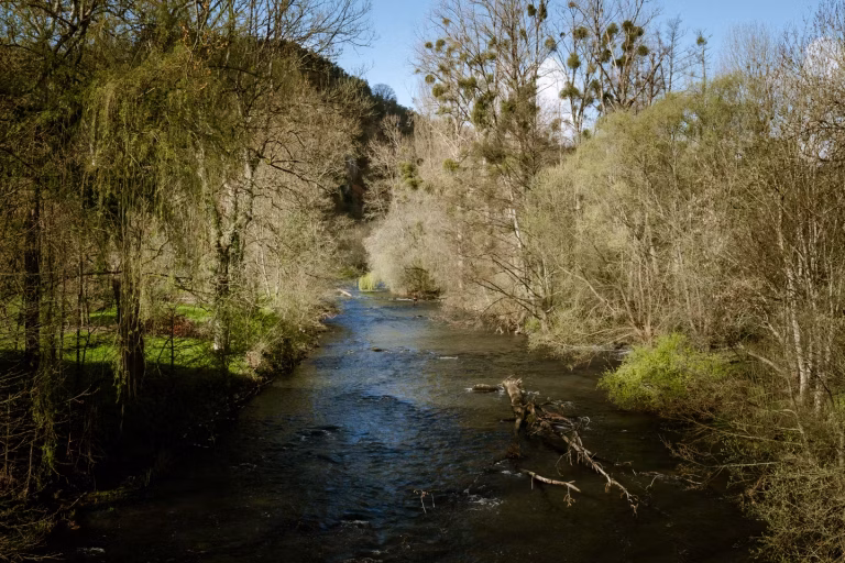 Sablé-sur-Sarthe : Entre Tradition et Manipulation