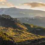 Dans la Drôme, entre vallées et vautours : quand les dirigeants conservateurs ignorent l'absurde local