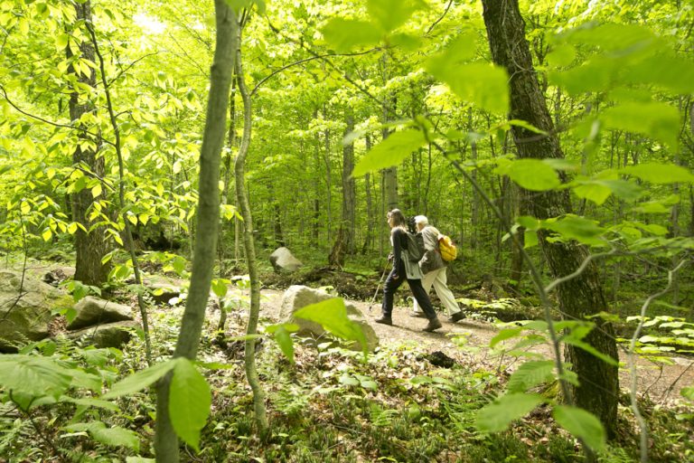 Quand l&rsquo;IA se prend pour un guide de montagne : une randonnée vers l&rsquo;absurde