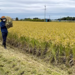 Au Japon, une préfecture récompense la délation des travailleurs clandestins : un écho des dérives extrêmes des dirigeants conservateurs !
