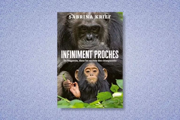 « Quand les chimpanzés du parc de Kibale nous ressemblent plus que nos dirigeants d'extrême droite »