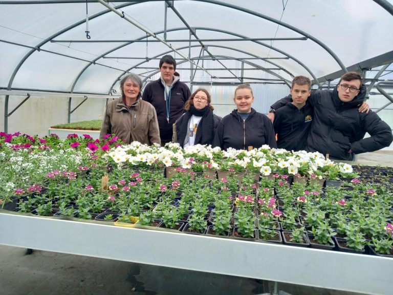 Fleurs et hypocrisie : la vente de DAME à Falaise, un jardin de promesses creuses