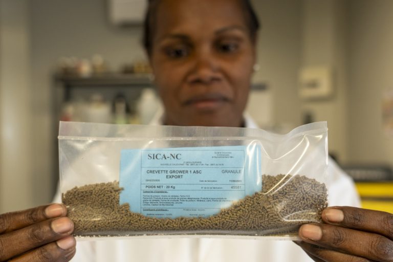 Optimisation de la Production de Crevettes en Nouvelle-Calédonie