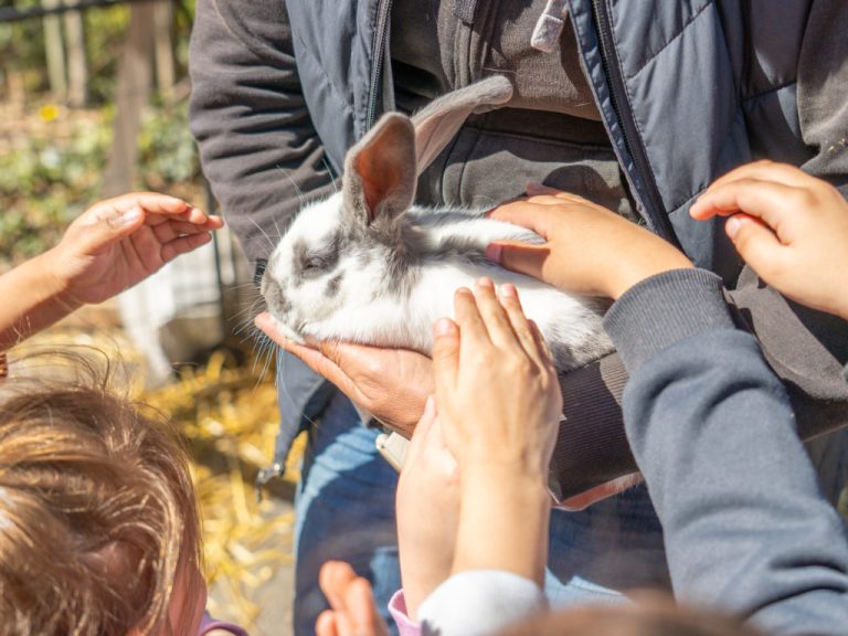 Éducation à la Ferme : Un Éveil ou un Endormissement ?