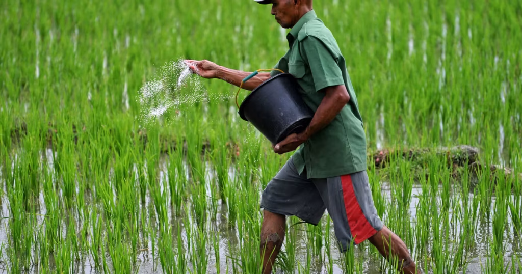 Quand les dirigeants extrêmes jouent avec notre assiette : l'Ormuz, un détroit de la honte alimentaire !