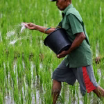 Quand les dirigeants extrêmes jouent avec notre assiette : l'Ormuz, un détroit de la honte alimentaire !