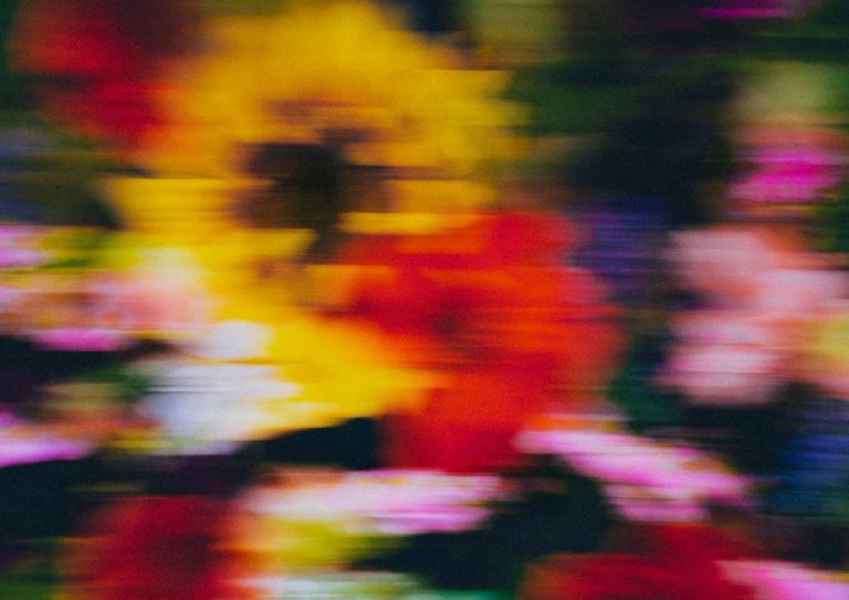 Quand la photographie devient un acte de résistance : cinq coups de cœur qui explorent notre environnement