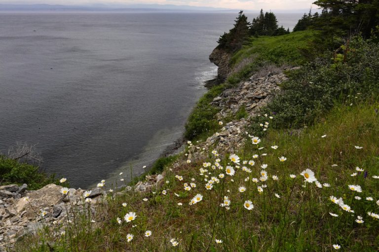 Parc national Forillon : joyau de la Gaspésie