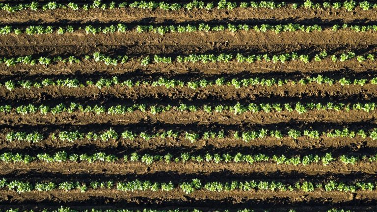 Agriculture : Quand l&rsquo;Absurdistan s&rsquo;invite dans nos champs