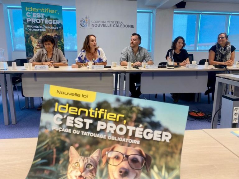 Nouvelle loi sur les animaux : un changement de façade ?