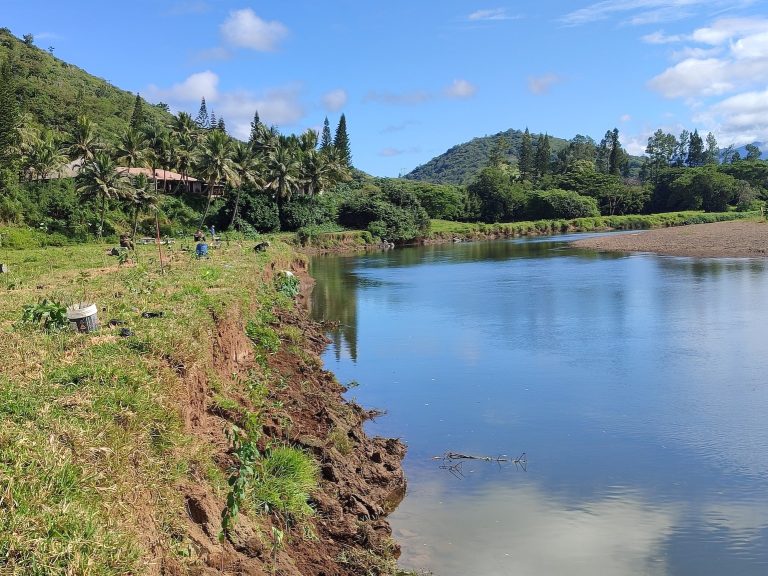 Projet PERENNE : Quand la Nature Récupère les Erreurs de l’Homme