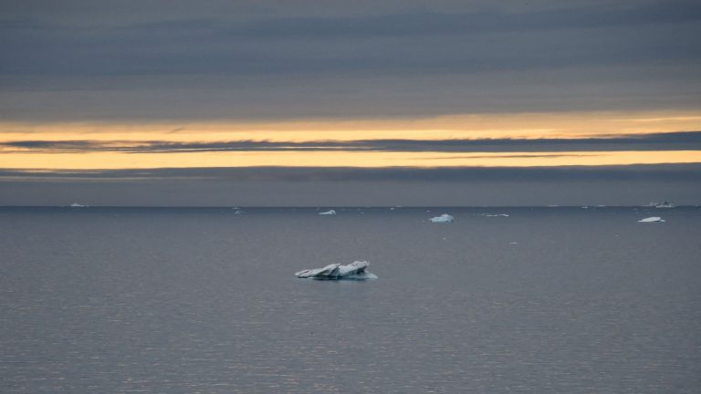 El Niño : Le retour du roi des chaleurs extrêmes
