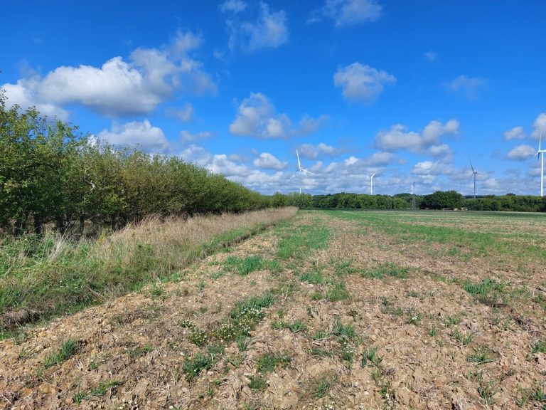 Réunion publique sur la plateforme logistique à Montabon : enjeux et perspectives