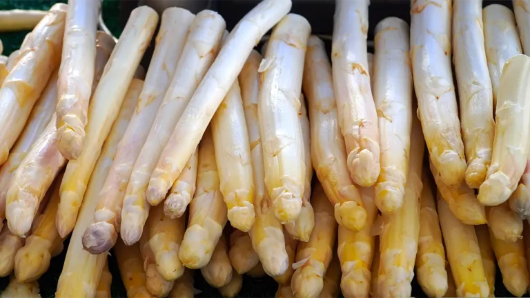 La Fête de l&rsquo;Asperge du Blayais : Un Événement à Ne Pas Manquer