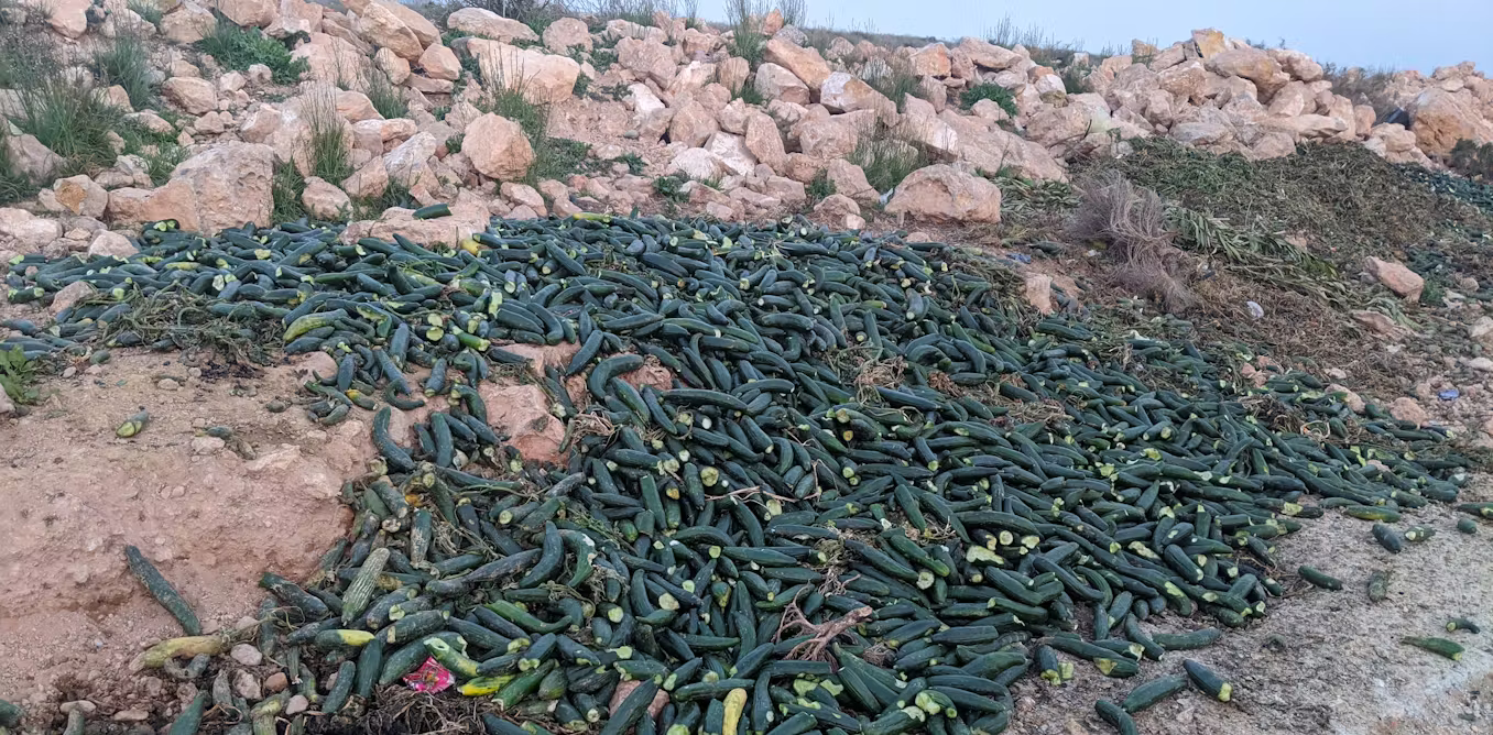 En Espagne, des milliers de tonnes de fruits et légumes ne sont jamais récoltées et pourrissent dans les champs