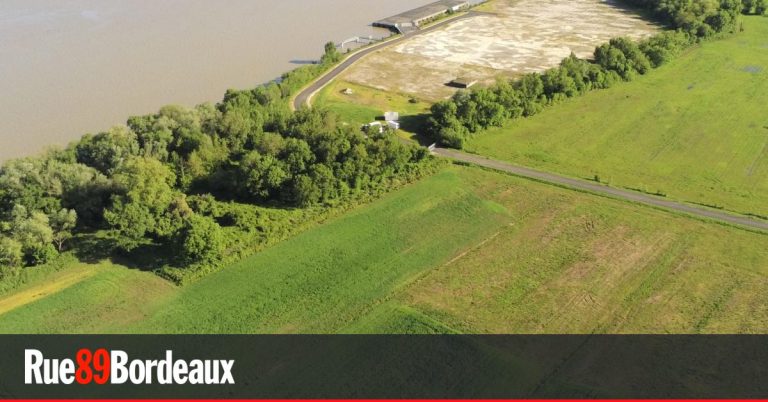 Bordeaux : La démocratie en péril, un PLU adopté sans débat ?