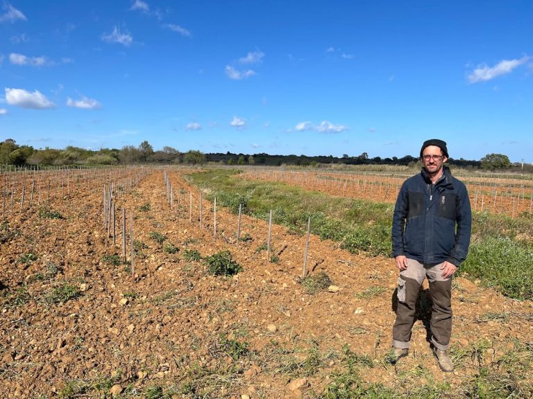 Hydrologie régénérative : des vignes innovantes développées à Canet en France