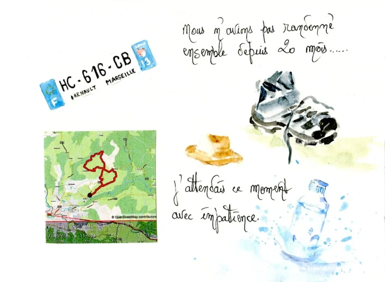 Explorer des sorties guidées : opportunités à ne pas manquer ou pièges à éviter ?