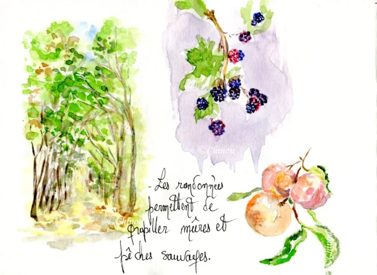 Quand la randonnée devient un mirage : l’illusion d’un retour à la nature