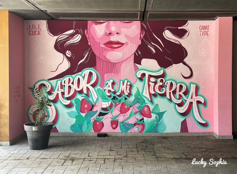 Quand le Street Art se Fait Écho des Incohérences Politiques