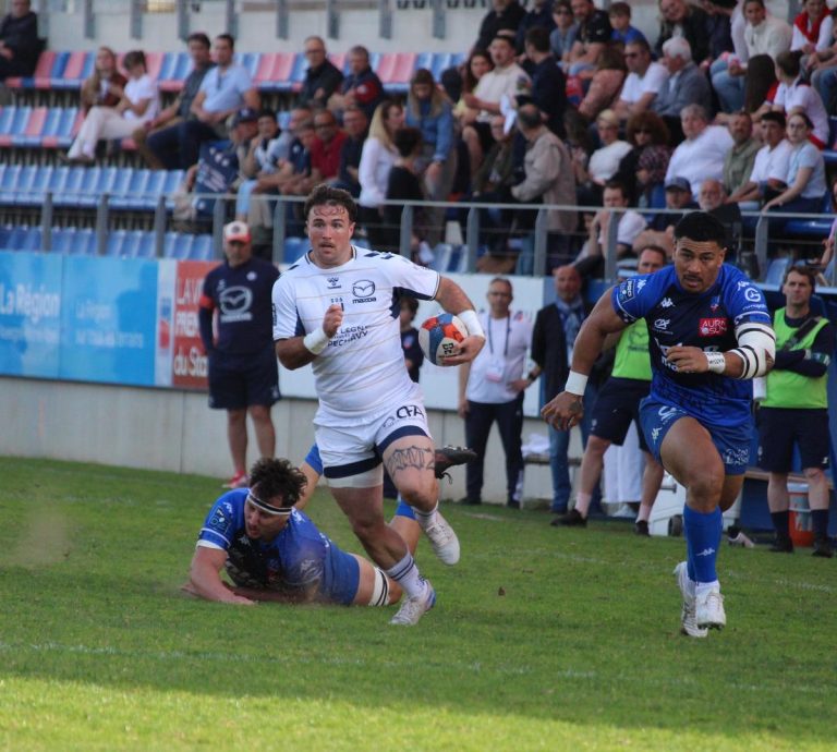 Le Wallaby qui fait trembler les promesses politiques : un essai qui en dit long